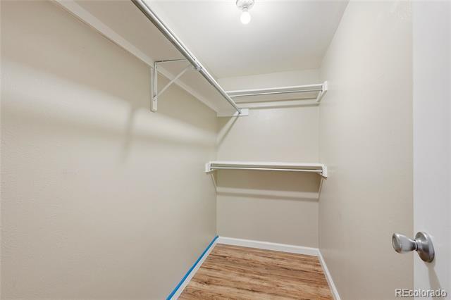 Building Photo - 3021 S Ursula Cir