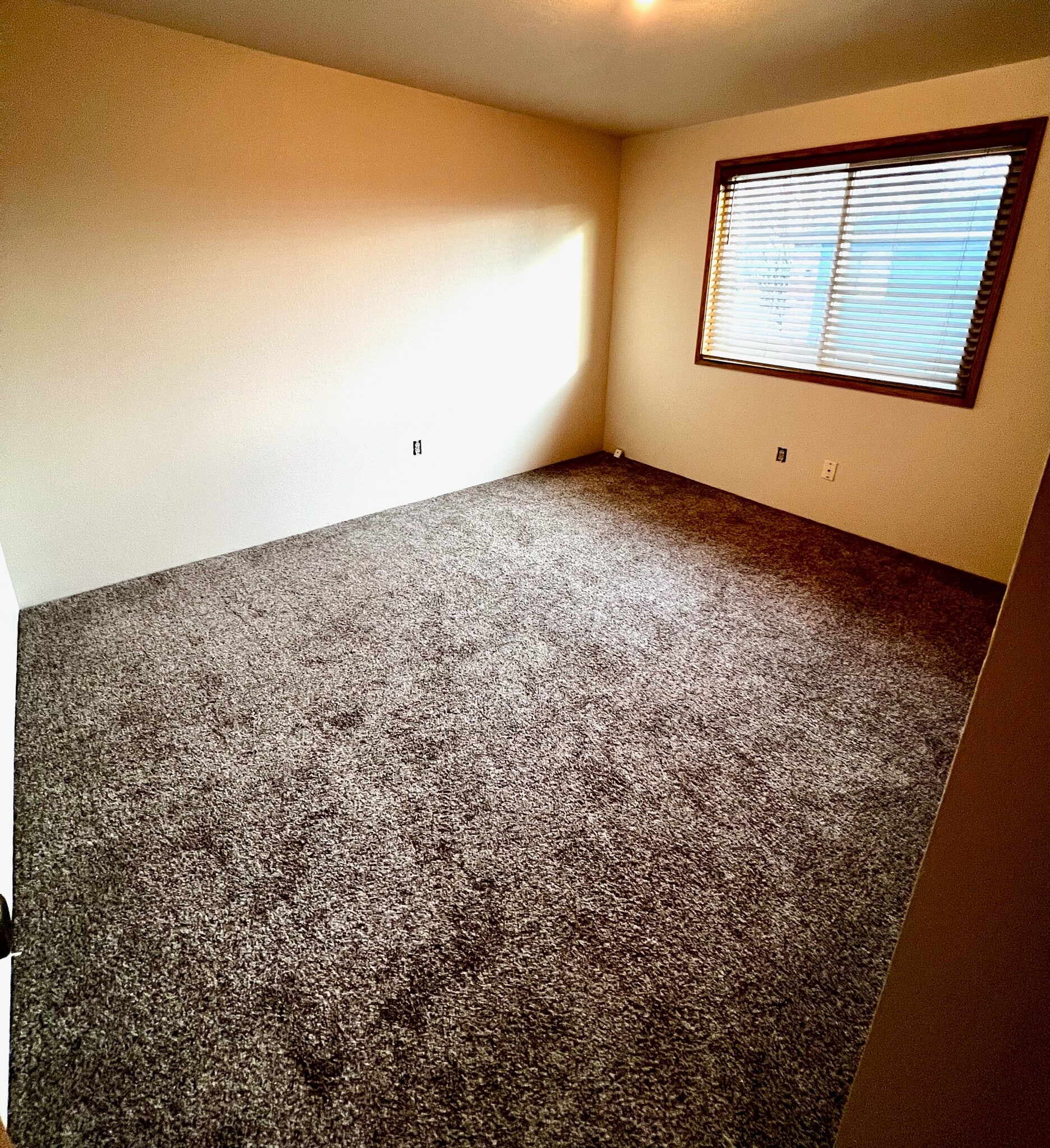 Bedroom 2 - 2243 Poplar Dr