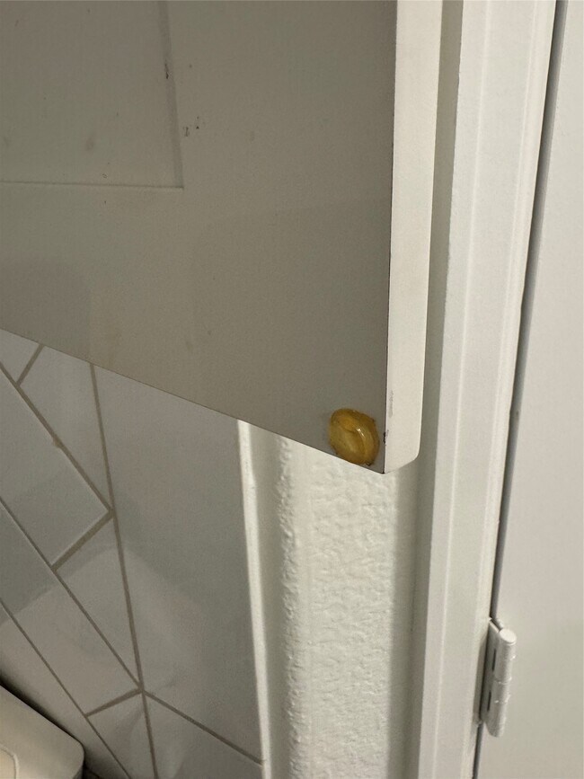 Building Photo - 2911 Cooper Hawk Ln