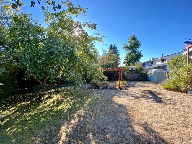 Building Photo - Charming Lake Hills Home in the Heart of Bellevue