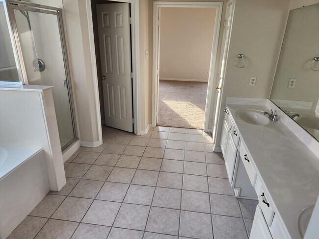 Master Bathroom - 23323 Wolfs Crossing Ct