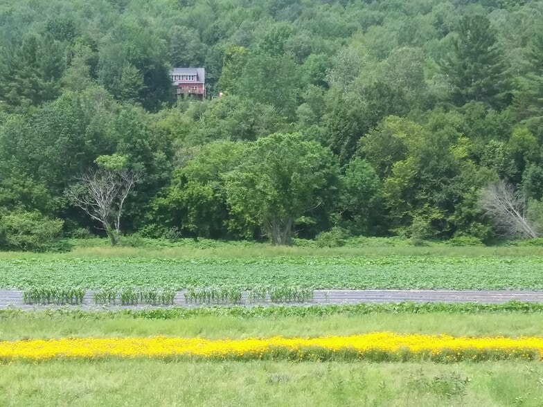 Field behind yard - 5342 Main Rd