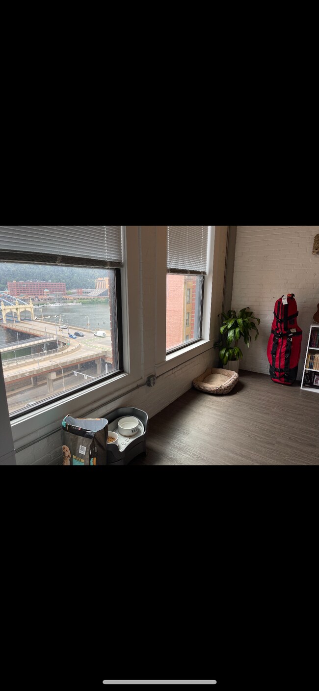 large windows - 436 1st Ave