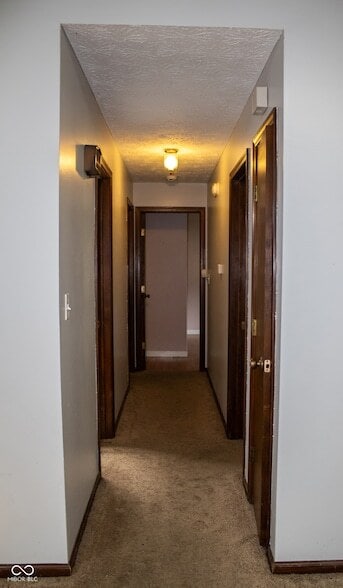 Building Photo - 6723 Balmoral Rd