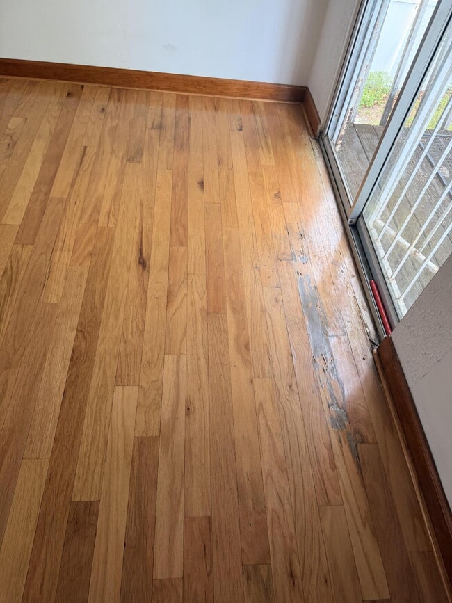 Building Photo - "Charming 1-Bedroom Retreat in Tampa - Cozy 650 Sq. Ft. Home Awaits!"