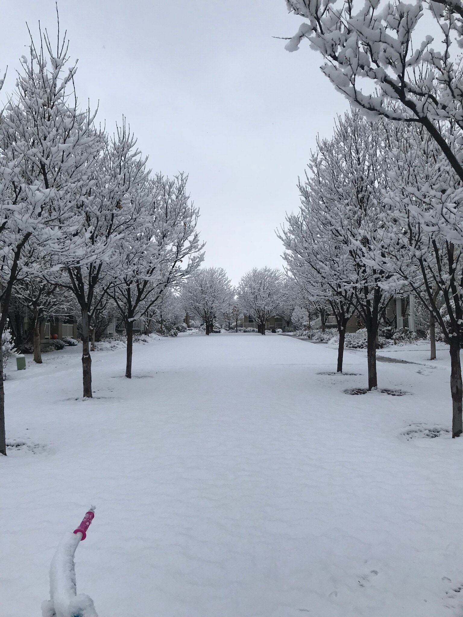 Green court winter wonderland - 11718 S Sun Tea Way