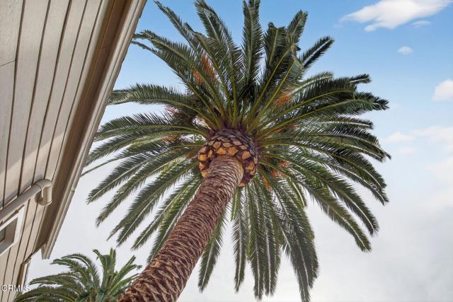 Building Photo - 201 S Olive St