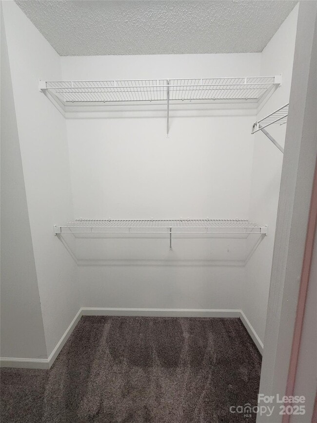 Building Photo - 6830 Babbling Brook Ln