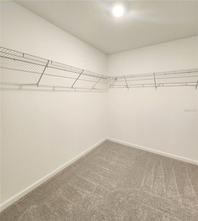 Building Photo - 5130 Magnolia Palm Dr