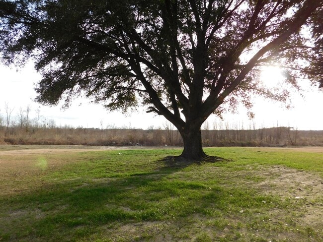 Building Photo - 6455 River Rd