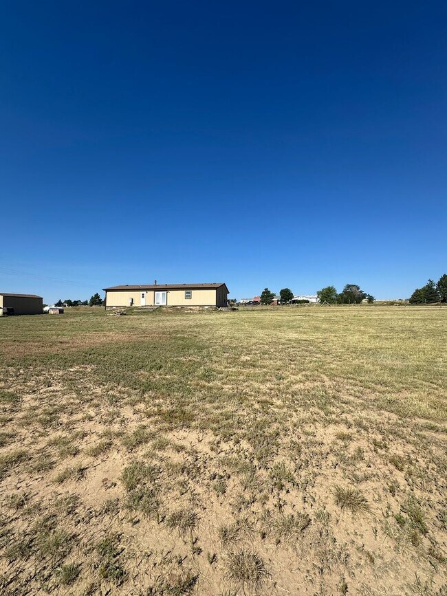 Building Photo - MODERN UPGRADES AND RURAL LIVING IN PEYTON