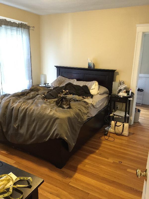 Building Photo - 13 Arlington St