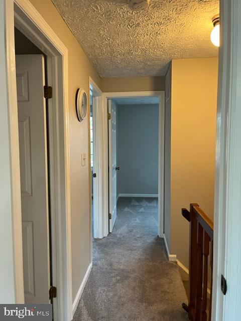 Building Photo - 3617 Laurel View Ct