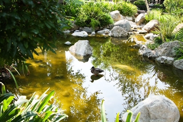 Gorgeous grounds - 21820 Marylee St