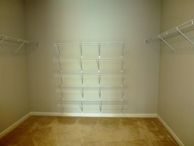 Building Photo - 3209 Buck Way