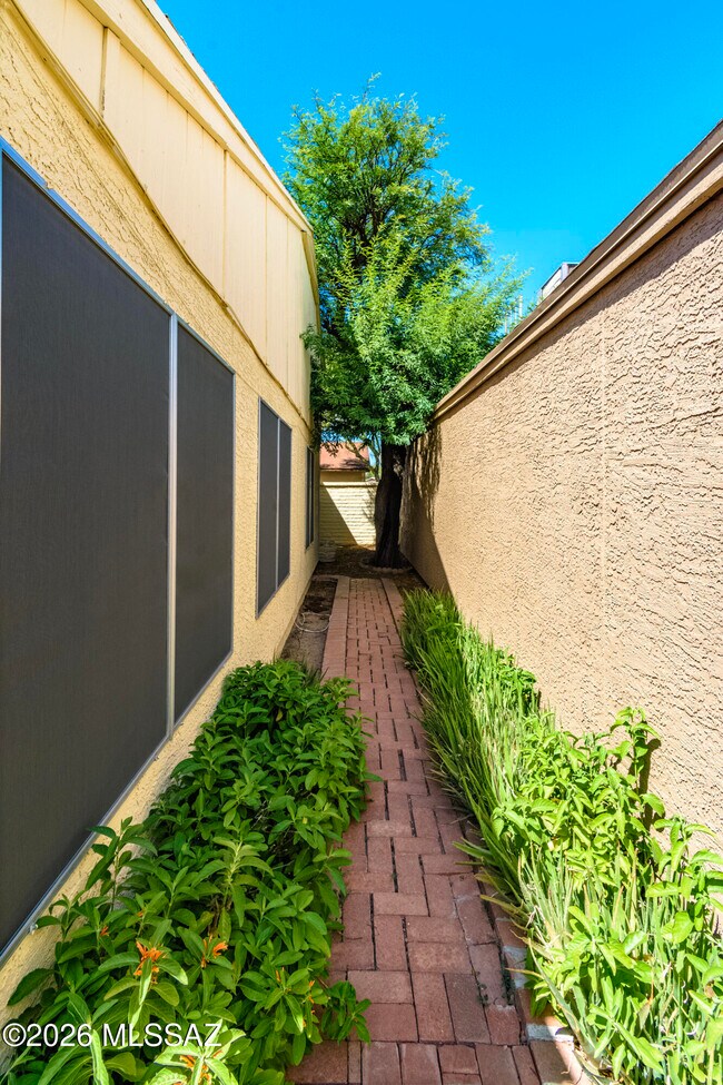 Building Photo - 2549 N Palo Santo Dr