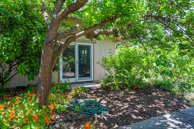 Building Photo - 4 Bed / 2 Bath Welcoming Midtown Palo Alto...