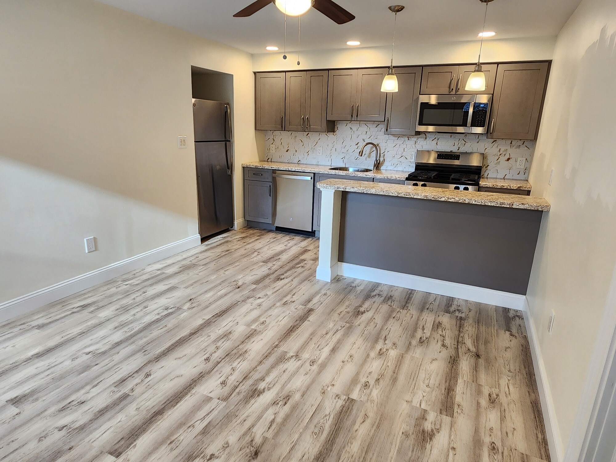 LR and Kitchen - 500 Radcliffe St