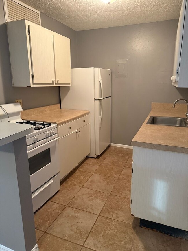 Primary Photo - 1 Bd/1 Ba near UF- Apartment for Rent