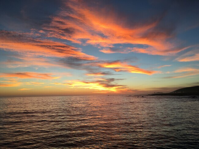 Building Photo - 3133 Ocean Blvd