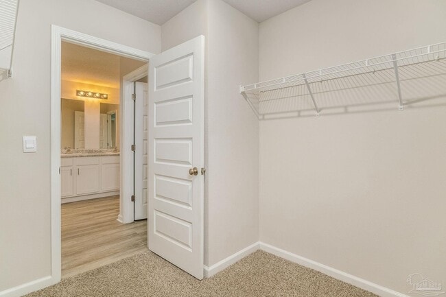 Building Photo - 4423 White Cedar Ct