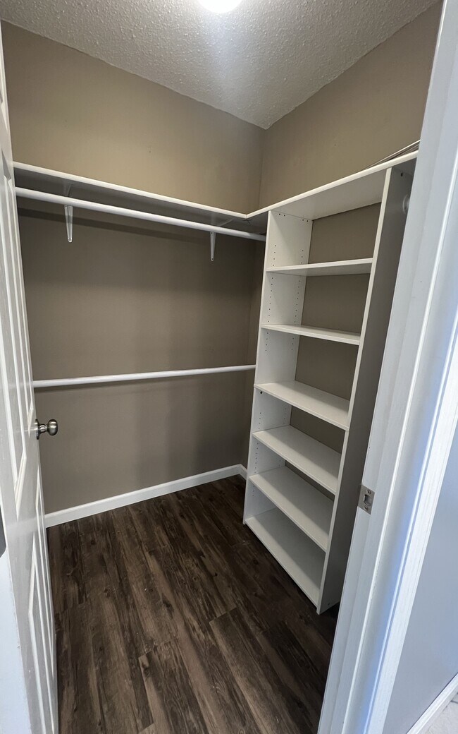 Building Photo - 2539 Catskill Ct