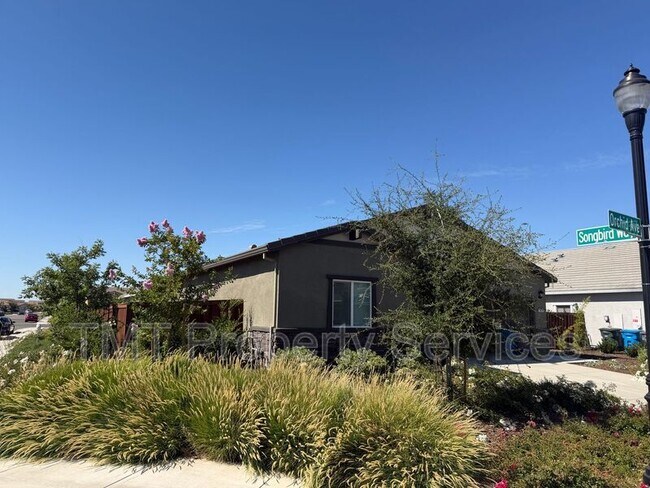 Building Photo - 1705 Orchid Ave