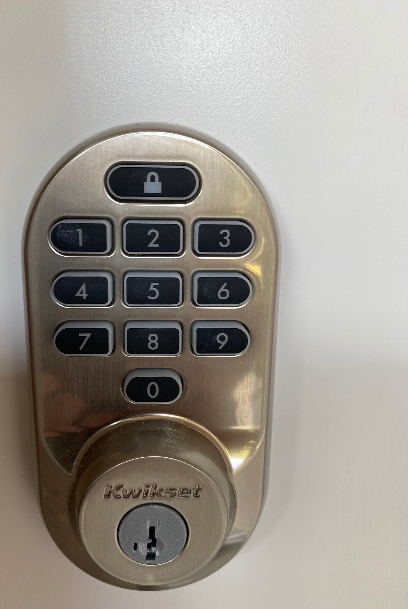 Building Photo - 104 Ivy Pl