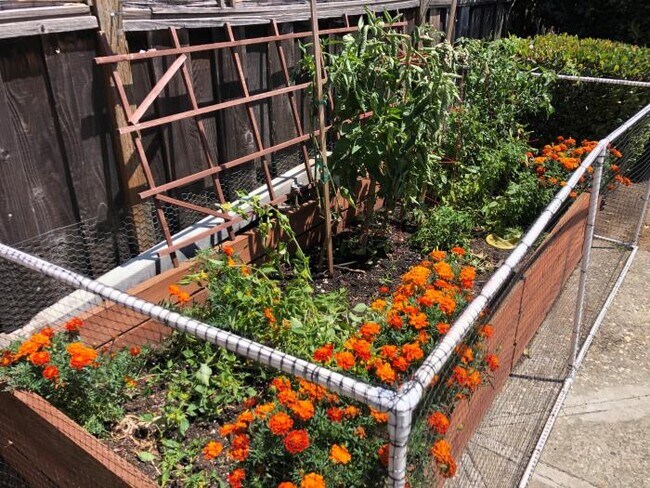 Building Photo - 4 bedroom in Hayward CA 94544