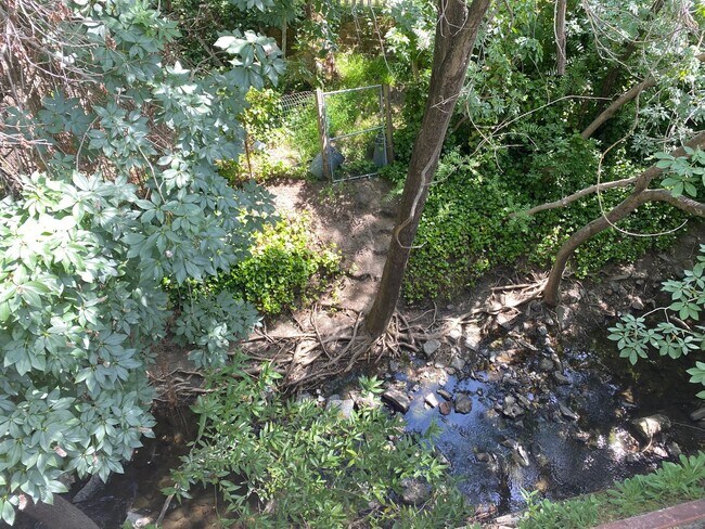 Building Photo - 2 Bed 2 Bath, LARGE Creek Side Apartment N...