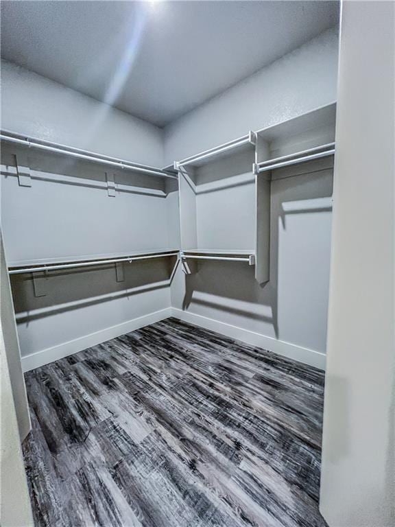 Building Photo - 1825 Woodhause Cir