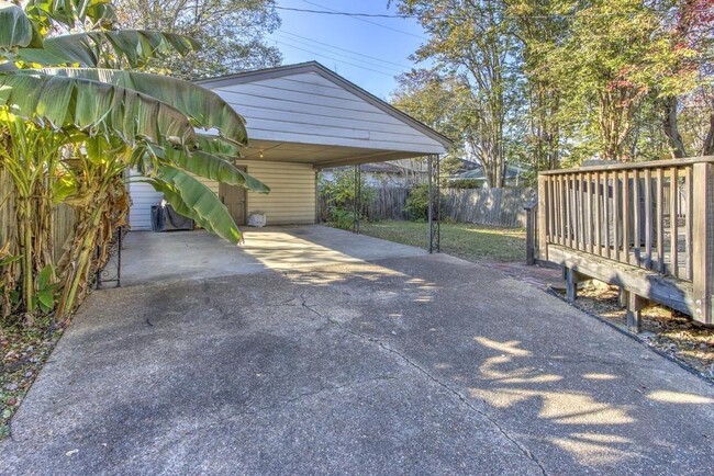Building Photo - 407 Angelus St