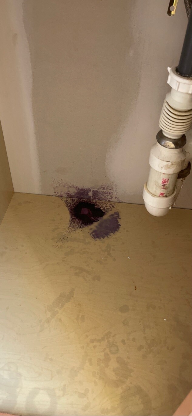 Building Photo - 229 Red Jade Dr