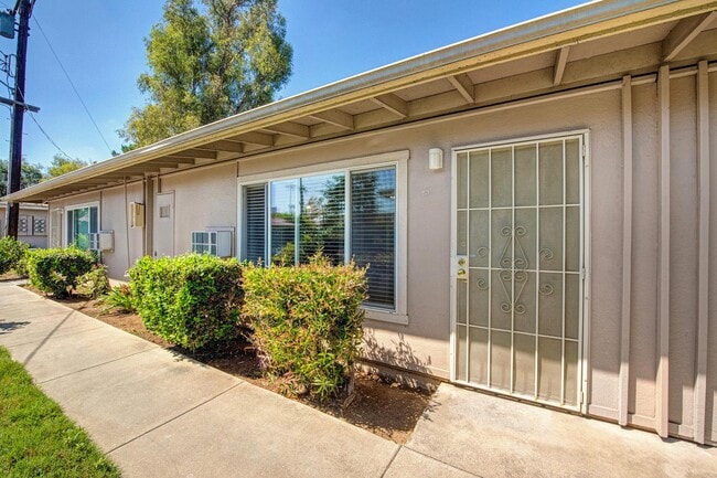 Building Photo - Pacifica Palms Apartments