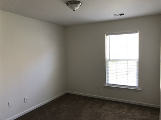 Building Photo - 3964 Griers Fork Dr