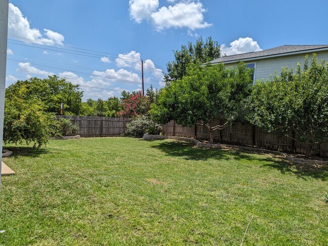 Fruit trees (Apricot, Peach, Persimmon & Pomegranate) - 4717 Lake Champlain Ln