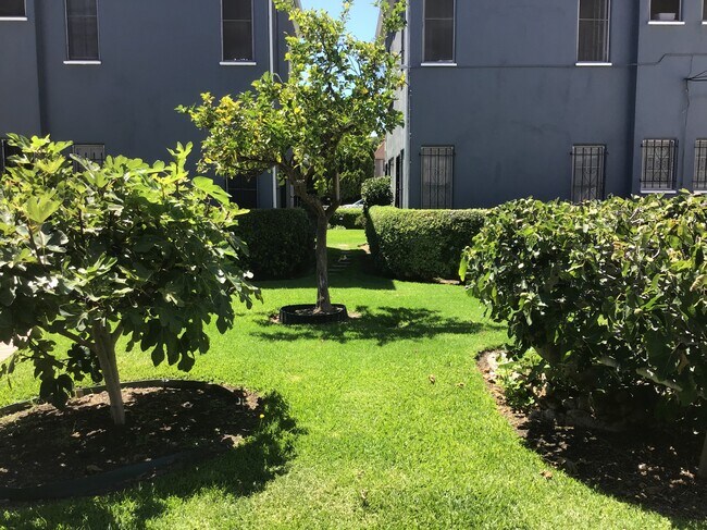 Garden - 112 N Kings Rd