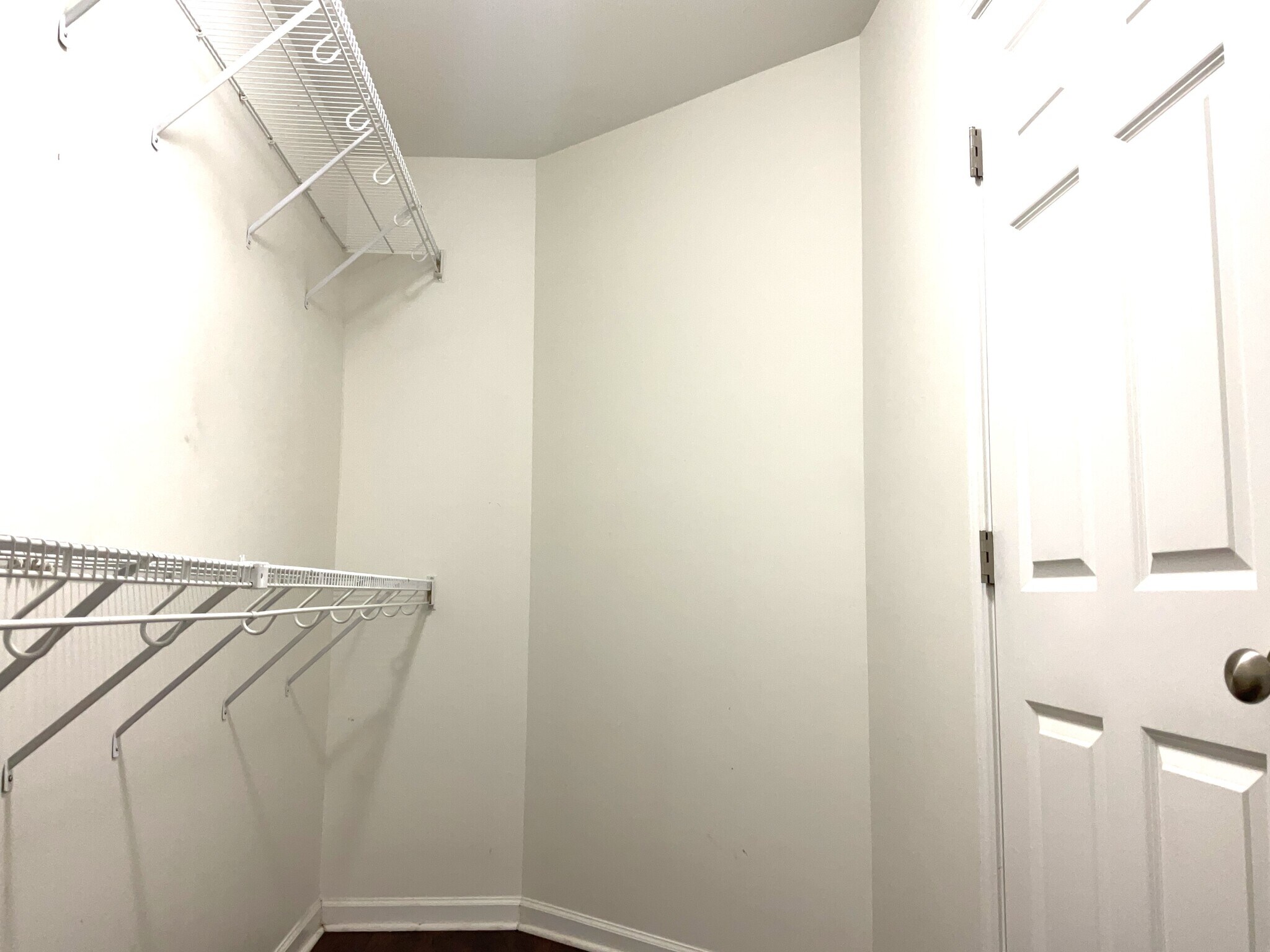 Building Photo - 51 Sago Palm Dr