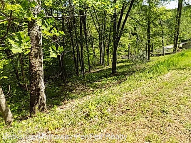 Building Photo - 3 br, 2 bath House - 4190 Budds Creek Rd