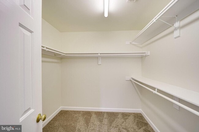 Building Photo - 6207 Woodland Lake Dr