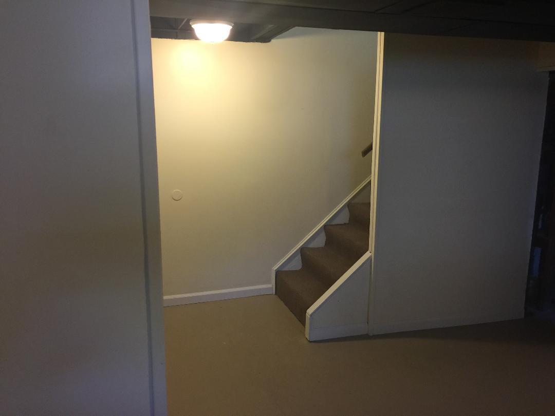 basement - 126 Larkins Xing