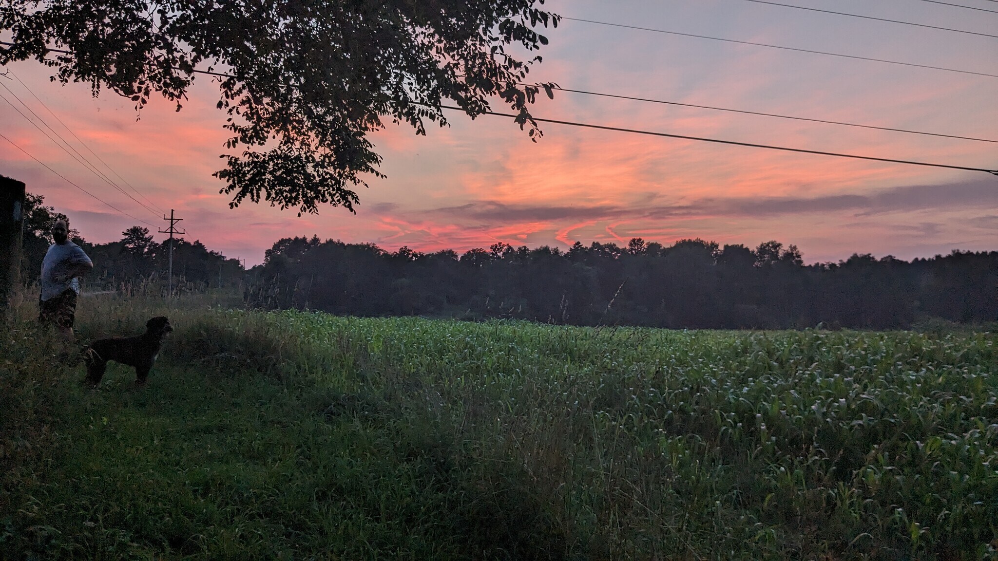 Building Photo - 8970 E Gull Lake Dr