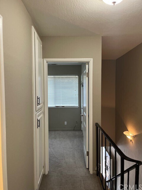 Building Photo - 978 Lucerne Ln