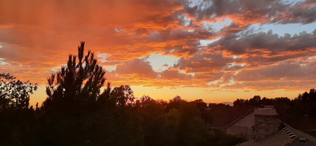 Beautiful sunset views from the deck - 1715 Darling St