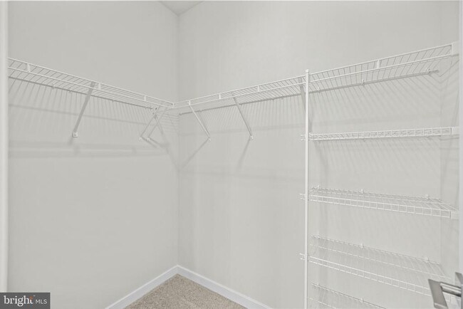 Building Photo - 6236 Folly Ln