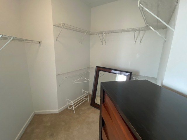 Primary Walk-in Closet - 1100 Wilshire Blvd