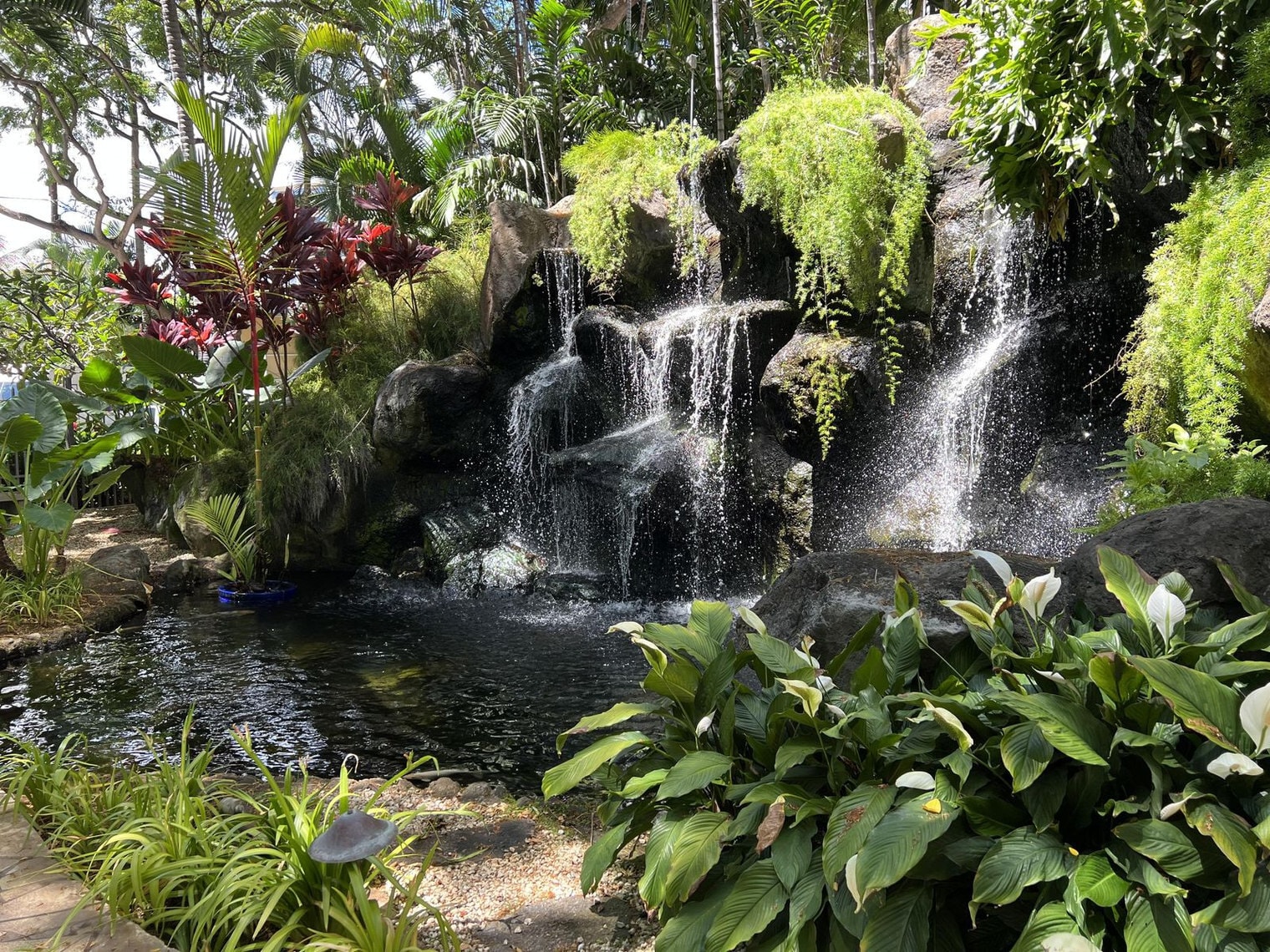 Building Photo - 343 Hobron Ln