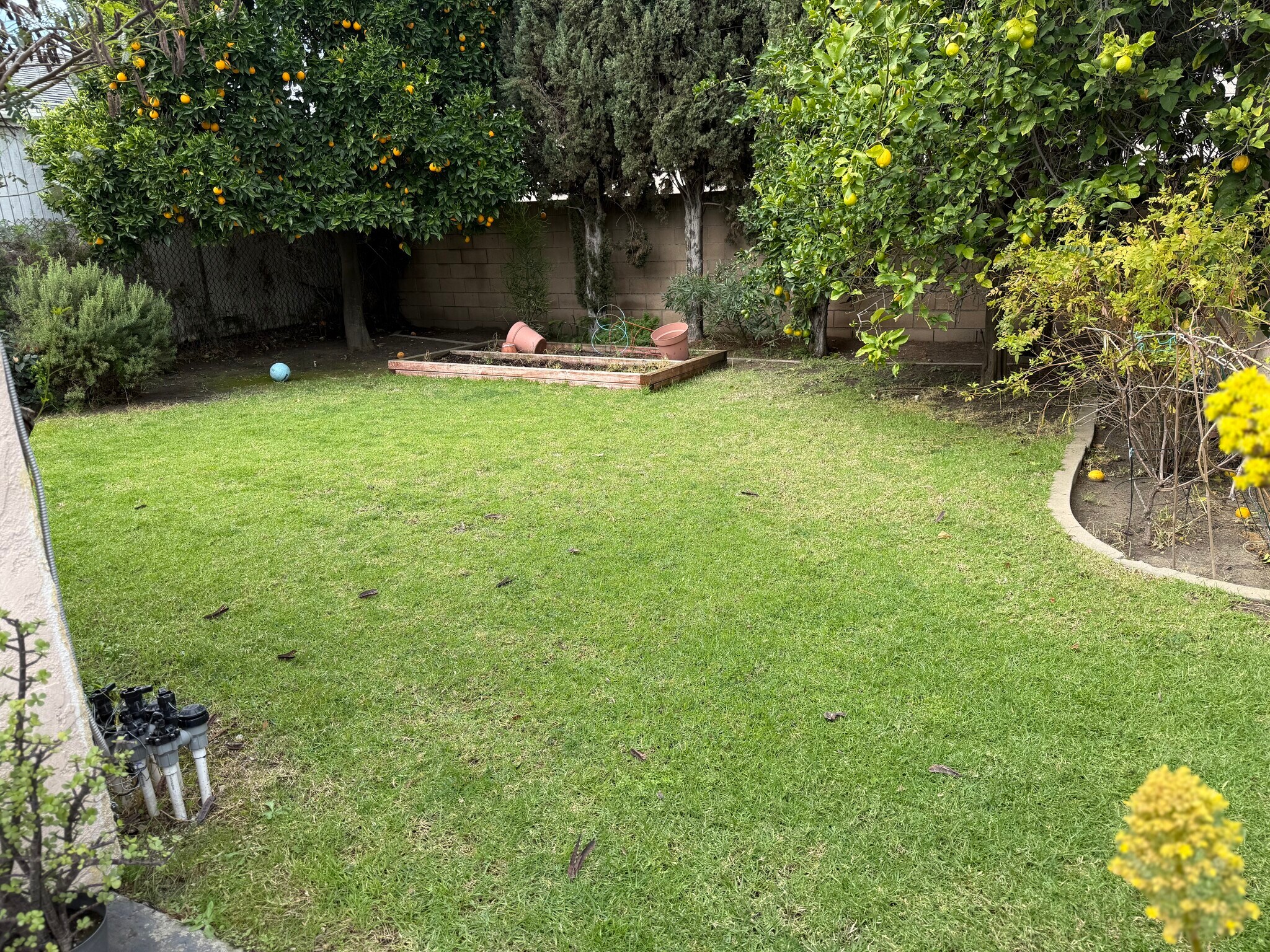 Building Photo - 11917 Orizaba Ave