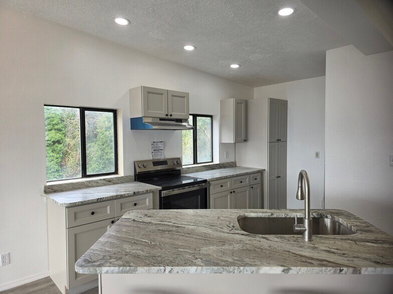 Island kitchenliving room - 1047 Wharf St