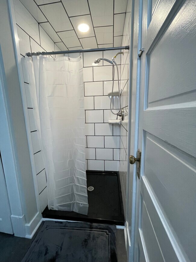 1st Bathroom shower - 2017 18th Ave